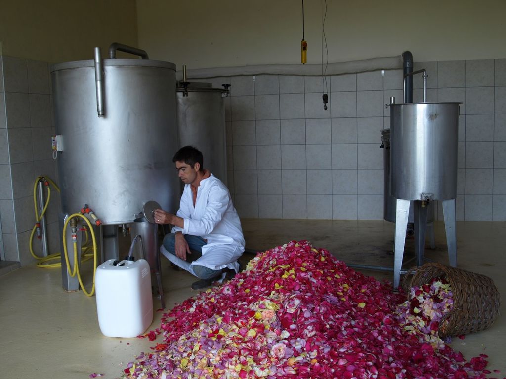 distillerie de l'eau de rose à Doué la Fontaine en Anjou sur le site touristique de Terre de Rose
