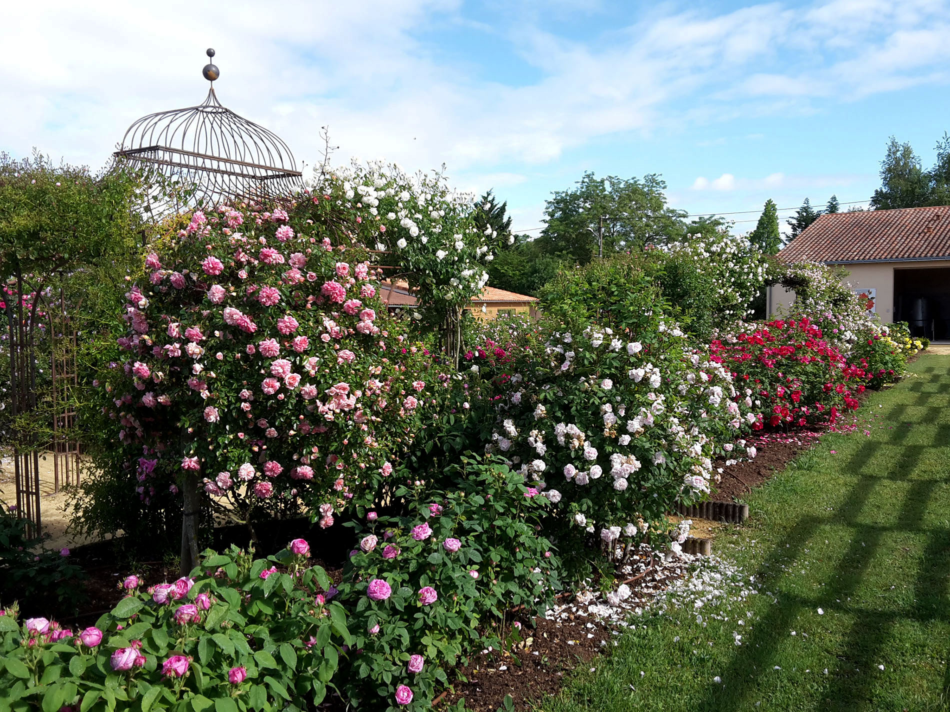 Roseraie de Terre de Rose