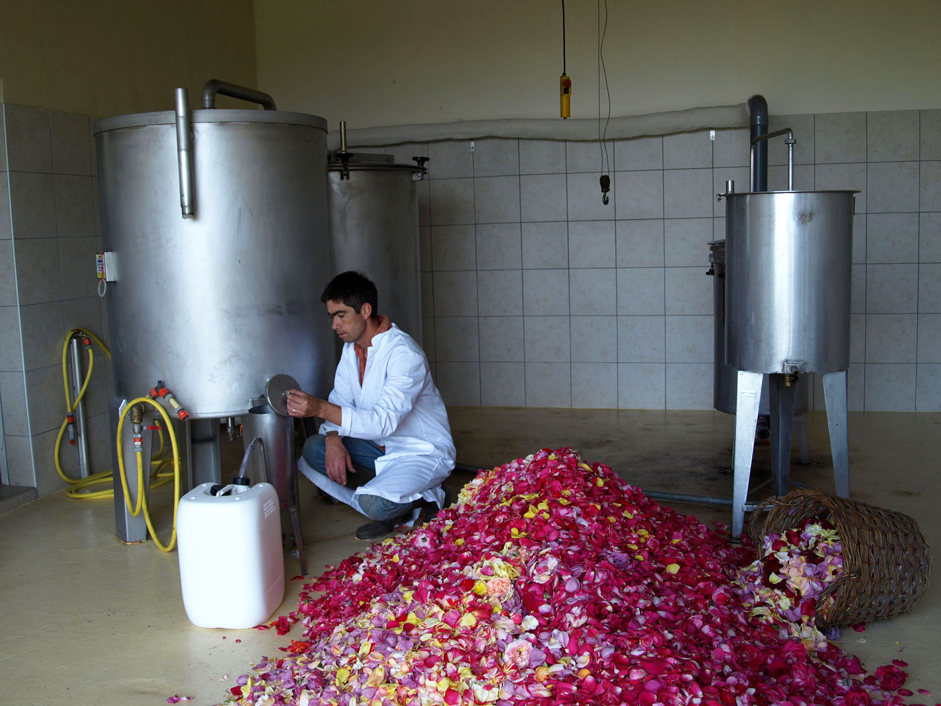 Rose water distillery : Attend the Eau de Rose distillery - DouÃ©-en-Anjou